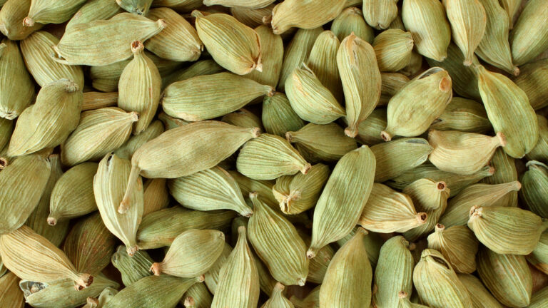 cardamom pods
