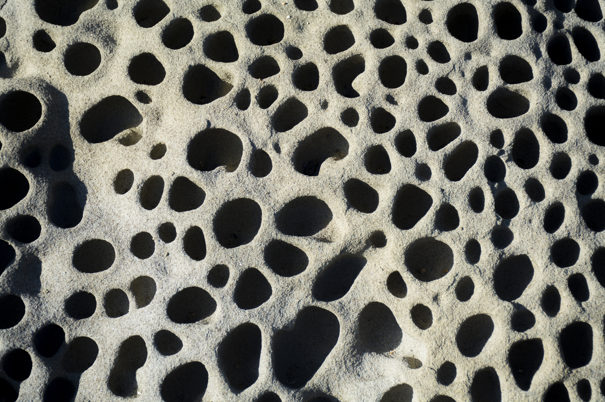 which of the 36 holes in the roof can you plug? | by Functional Nutritionist Andrea Nakayama of Holistic Nutrition Lab
