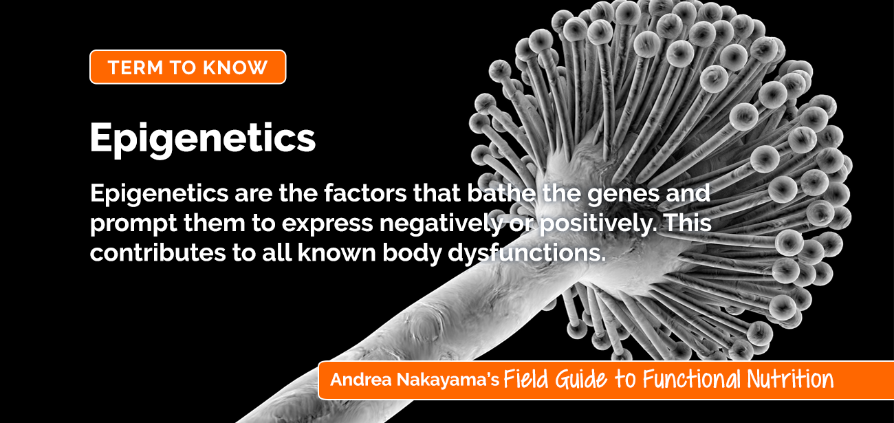 Epigenetics | Andrea Nakayama's Field Guide to Functional Nutrition