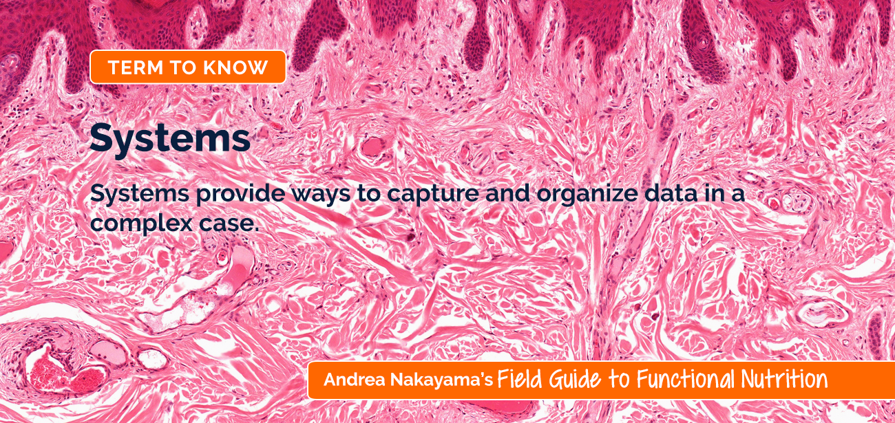 Andrea Nakayama's Field Guide to Functional Nutrition | Systems