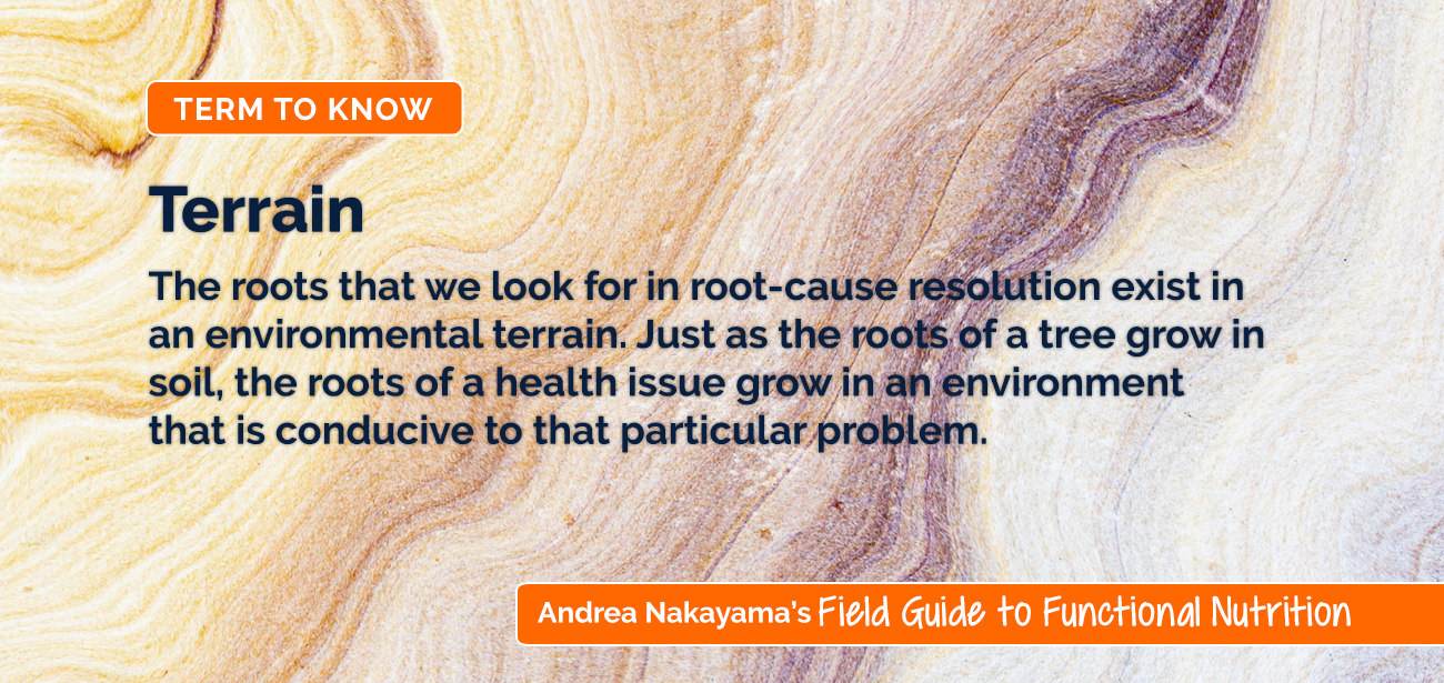 Terrain | Andrea Nakayama's Field Guide to Functional Nutrition