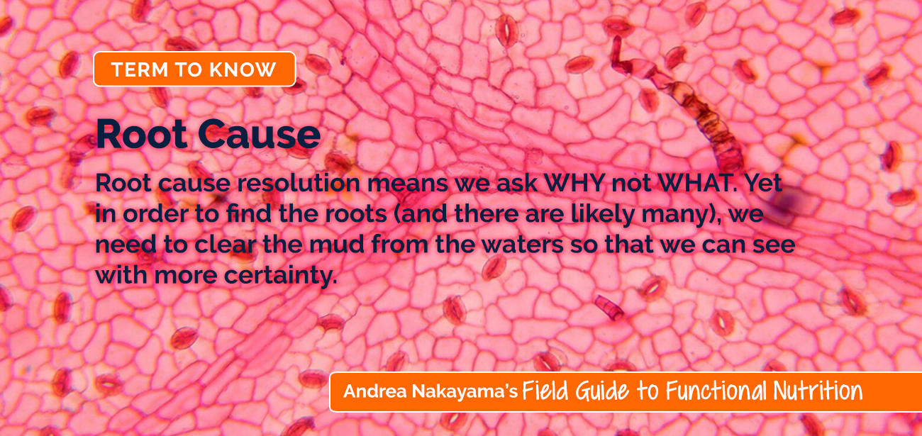 Andrea Root Cause | Andrea Nakayama's Field Guide to Functional Nutrition Field Guide to Functional Nutrition | Root Cause
