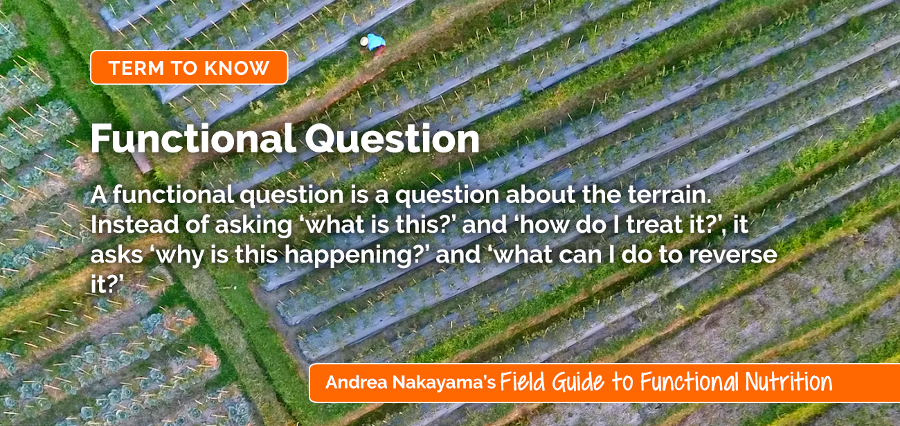 Functional Question | Holistic Nutrition Lab by functional nutritionist Andrea Nakayama