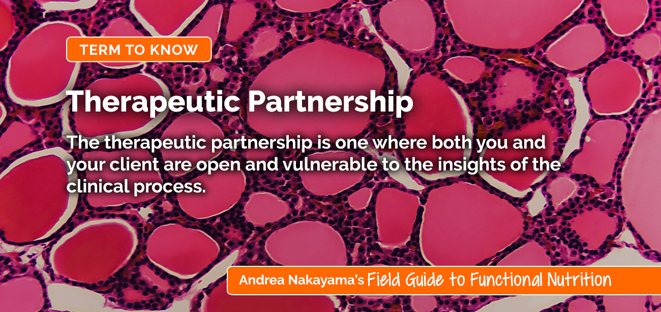 Therapeutic Partnership | Holistic Nutrition Lab by functional nutritionist Andrea Nakayama