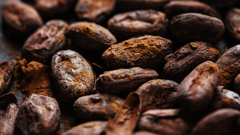 Raw cocoa beans spread out over a surface