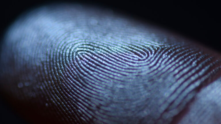 Finger print zoomed in to show unique DNA