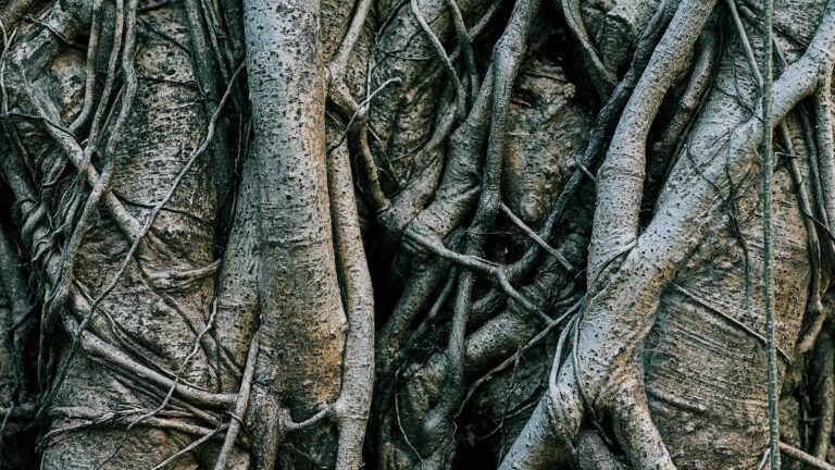 Frameworks, Systems