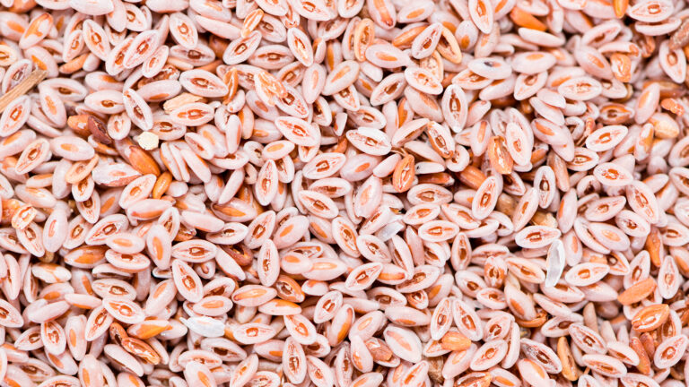 psyllium husk for husky poop
