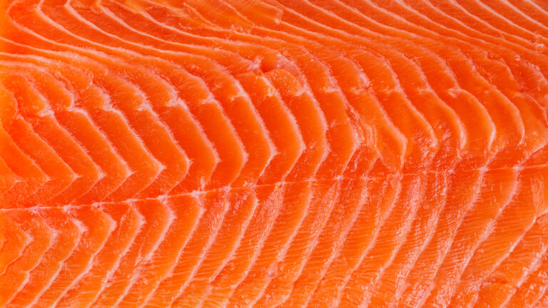 Nutrition, Recipe