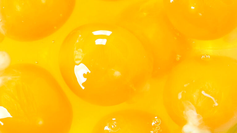 eggs for protein