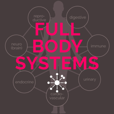 Full Body Systems