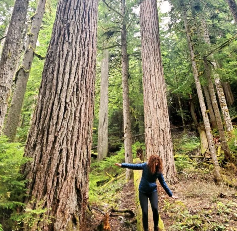 andrea nakayama balancing on log