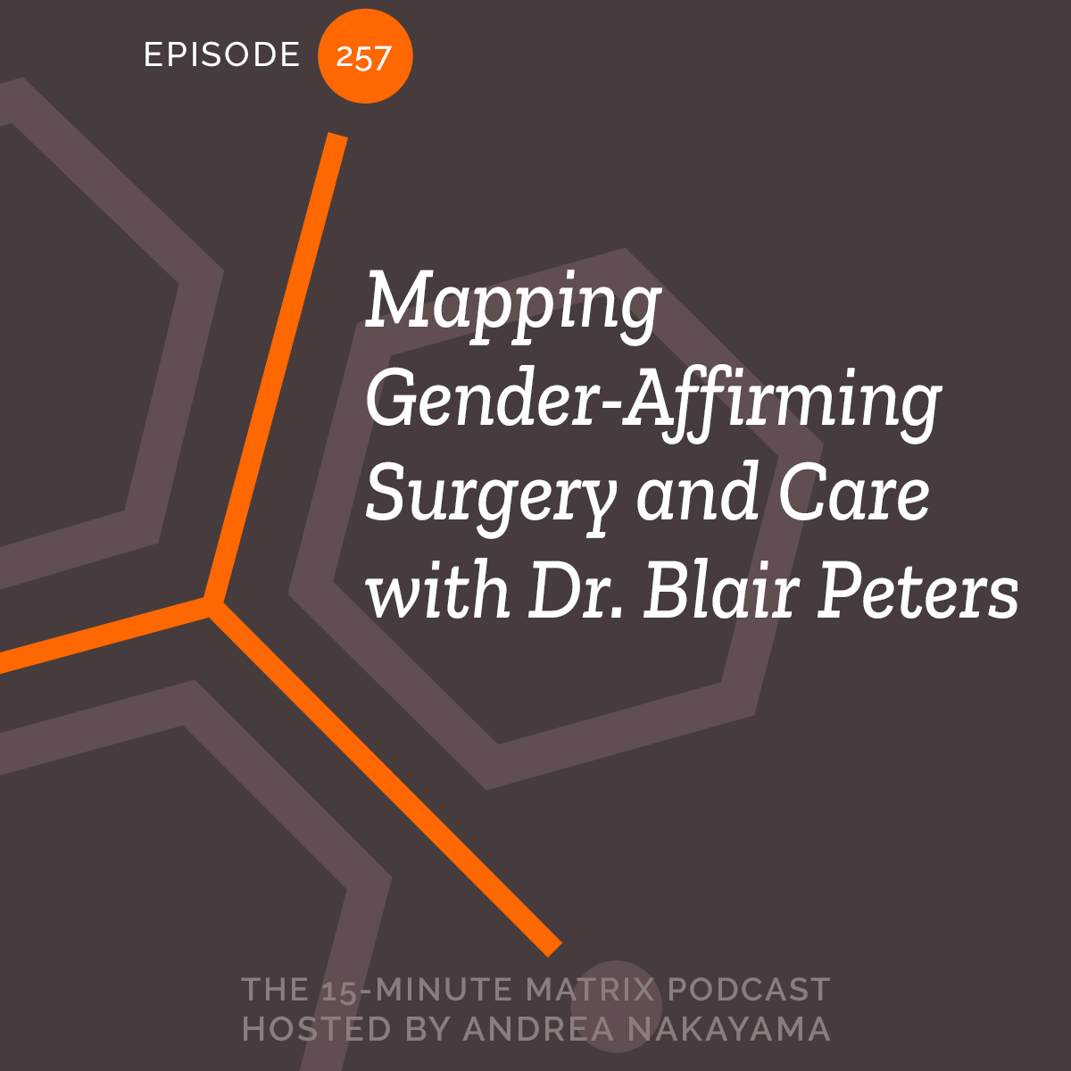 Mapping Gender-Affirming Surgery & Care with Dr. Blair Peters #257