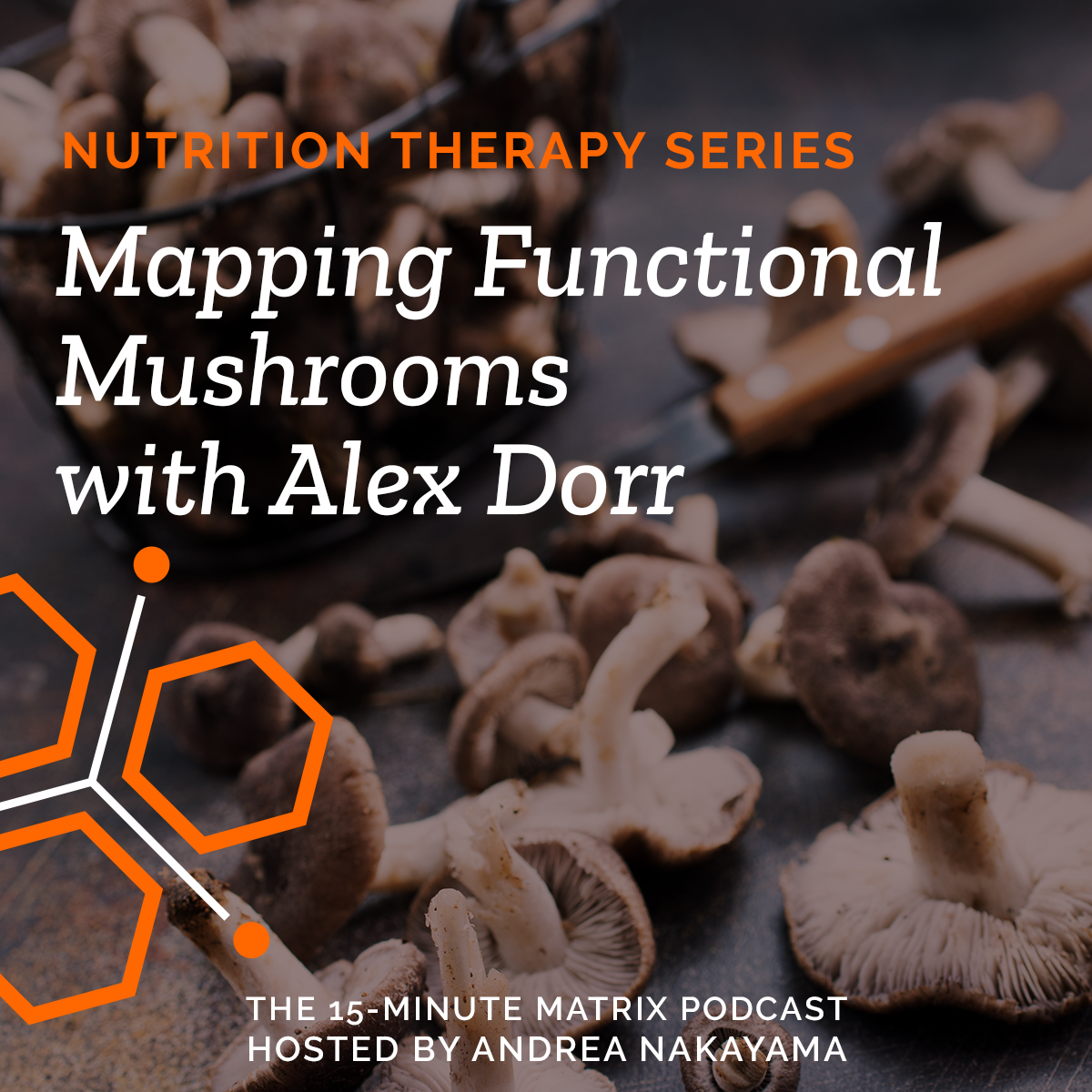 Mapping Functional Mushrooms with Alex Dorr #259