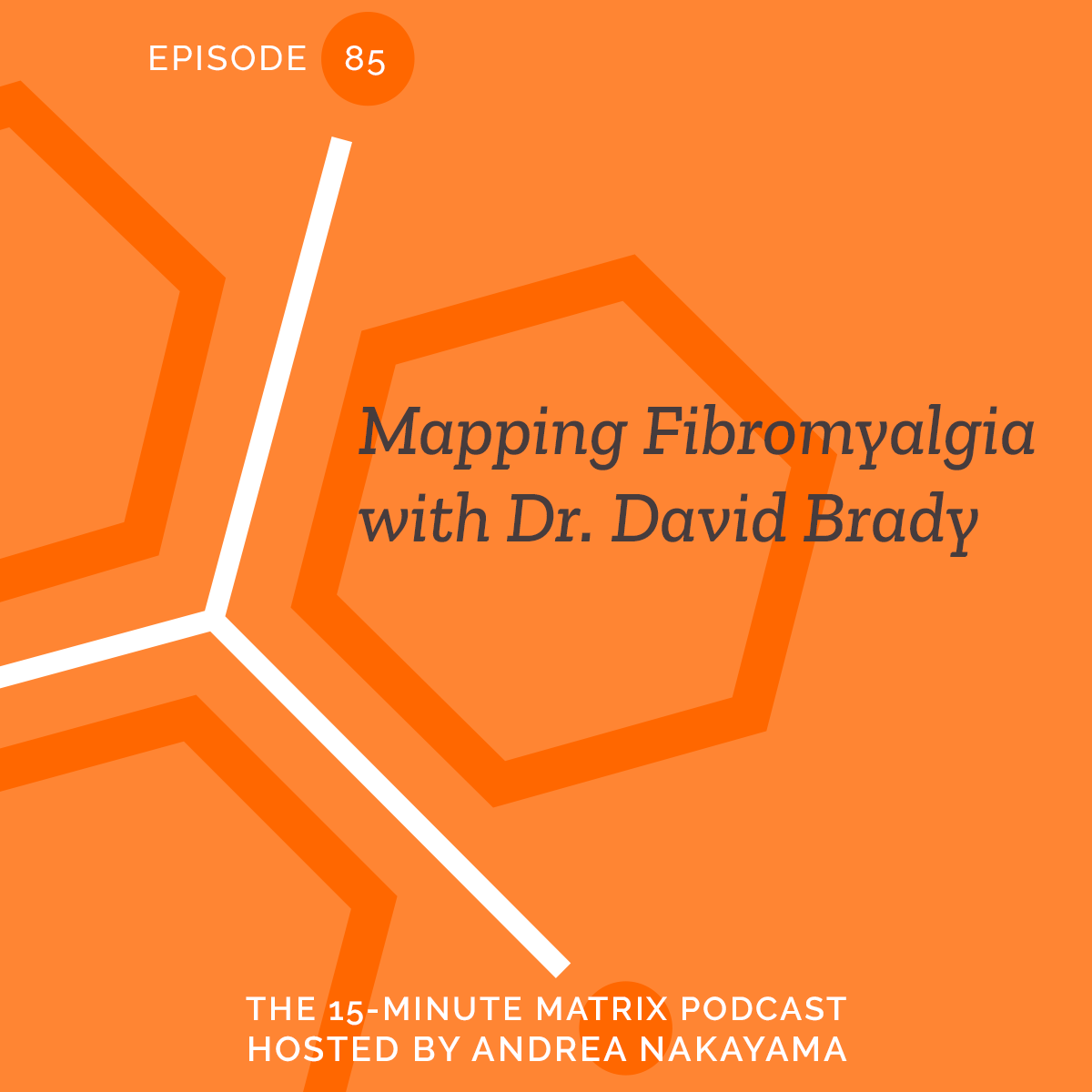 Mapping Fibromyalgia with Dr. David Brady (Replay) #85