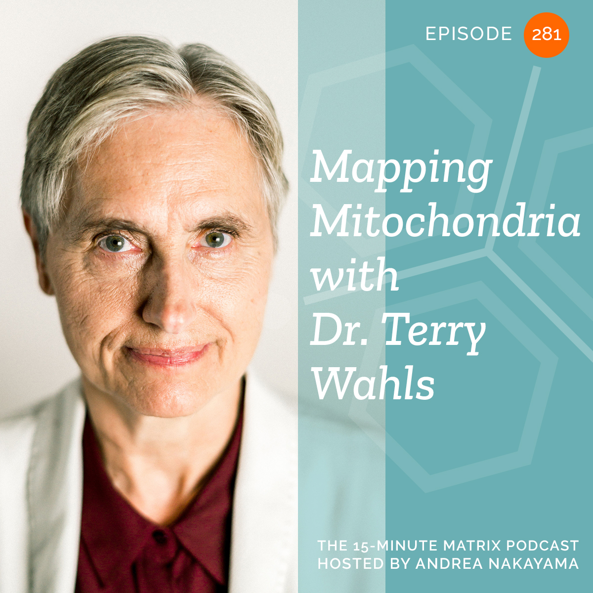 Mapping Mitochondria with Dr. Terry Wahls #281