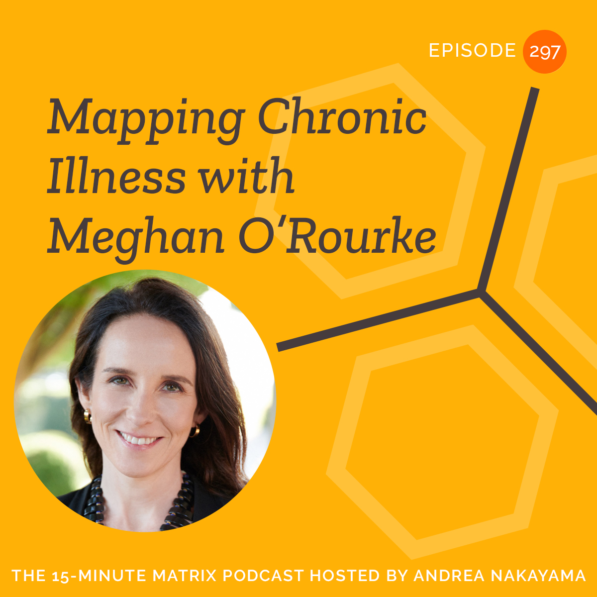 Mapping Chronic Illness with Meghan O’Rourke #297