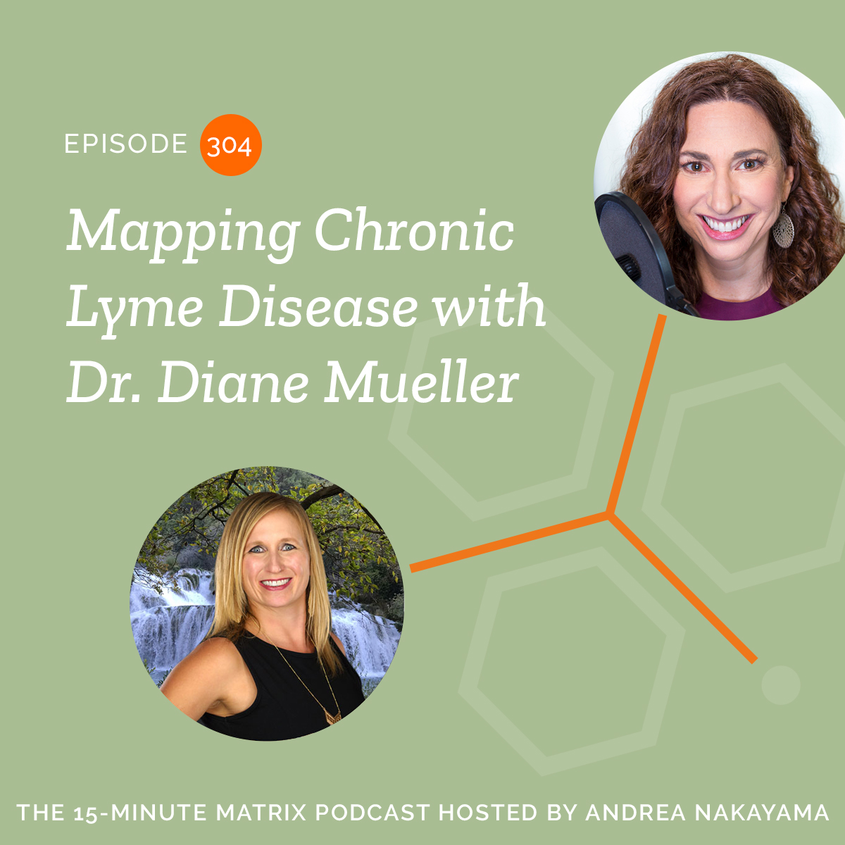 Mapping Chronic Lyme Disease with Dr. Diane Mueller #304