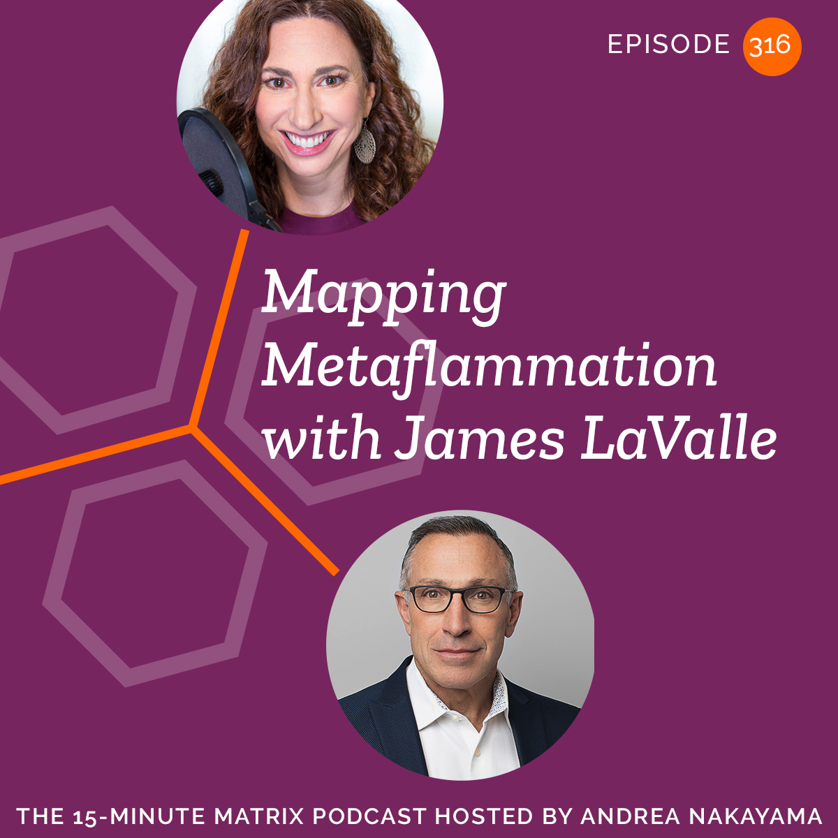 Mapping Metaflammation with James LaValle #316