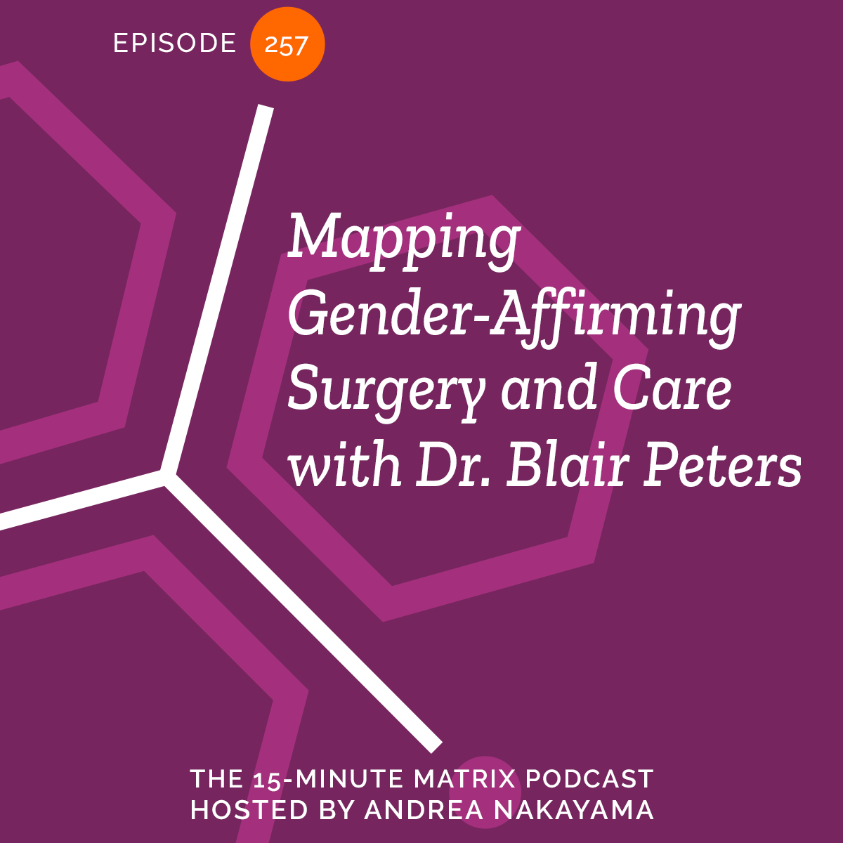 Mapping Gender-Affirming Surgery & Care with Dr. Blair Peters (Replay) #257