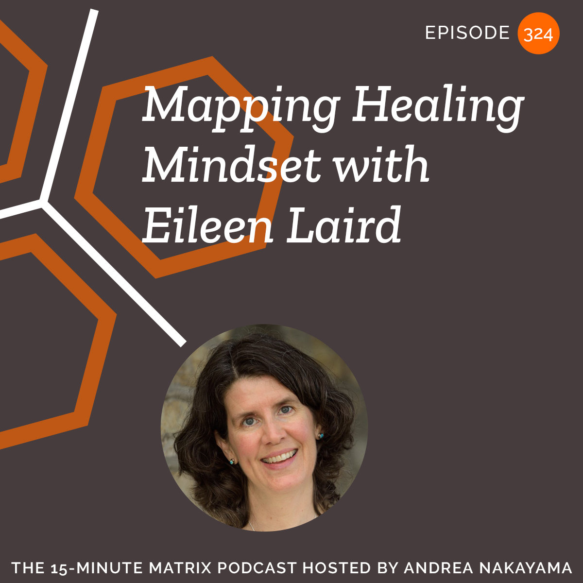 Mapping Healing Mindset with Eileen Laird #324