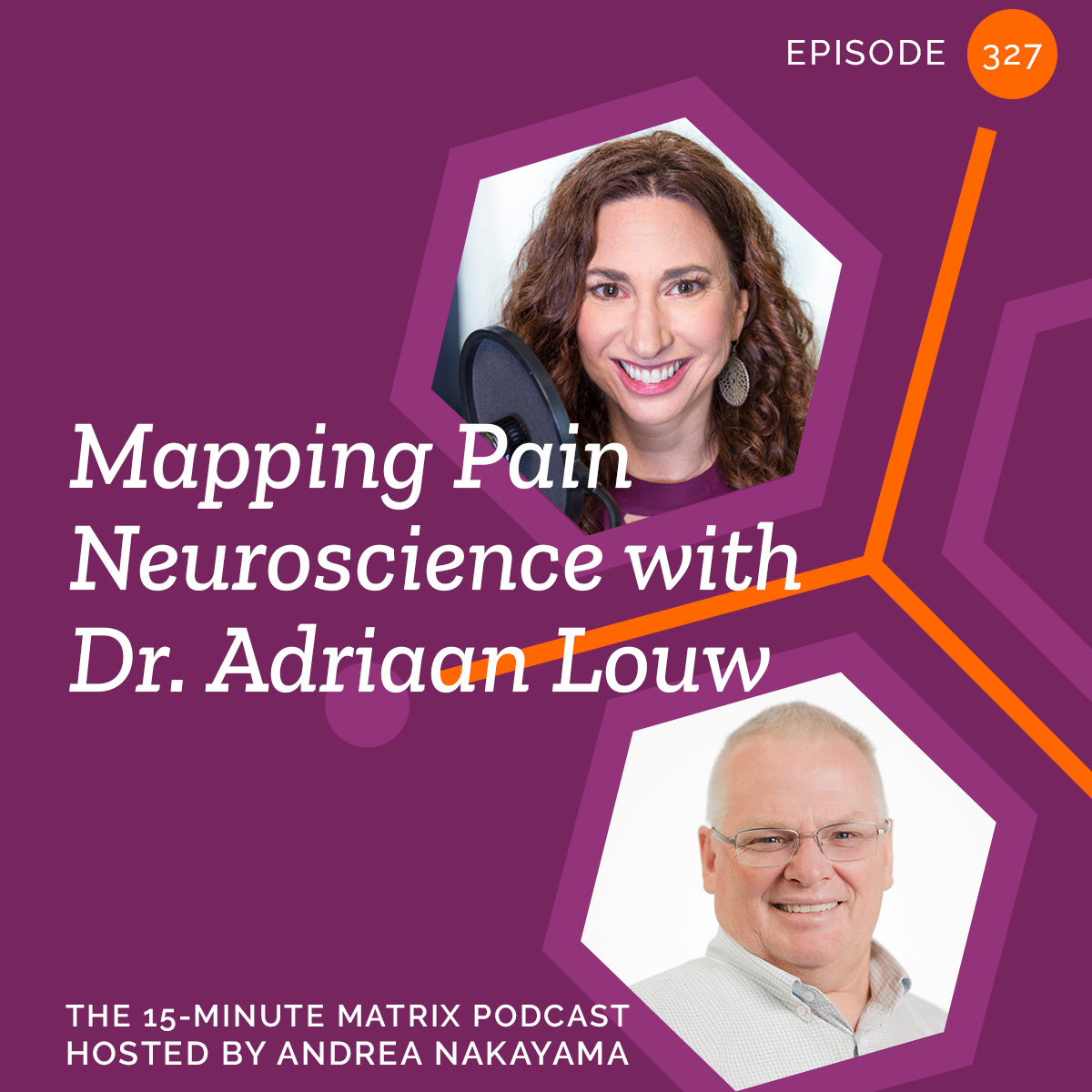 Mapping Pain Neuroscience with Dr. Adriaan Louw #327