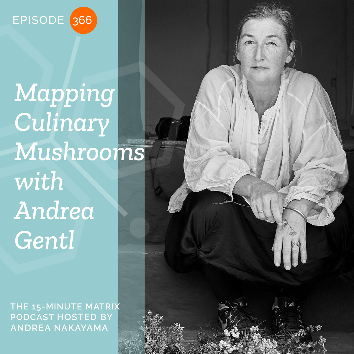 Mapping Culinary Mushrooms with Andrea Gentl #366